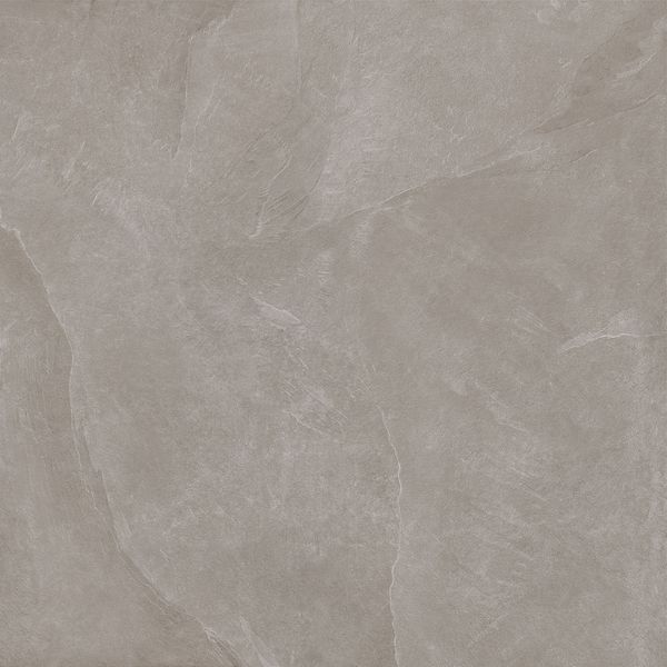 Плитка Teo Ceramics Allore Group Leon Grey F P 1200x1200x8 R Mat 1 210191 фото