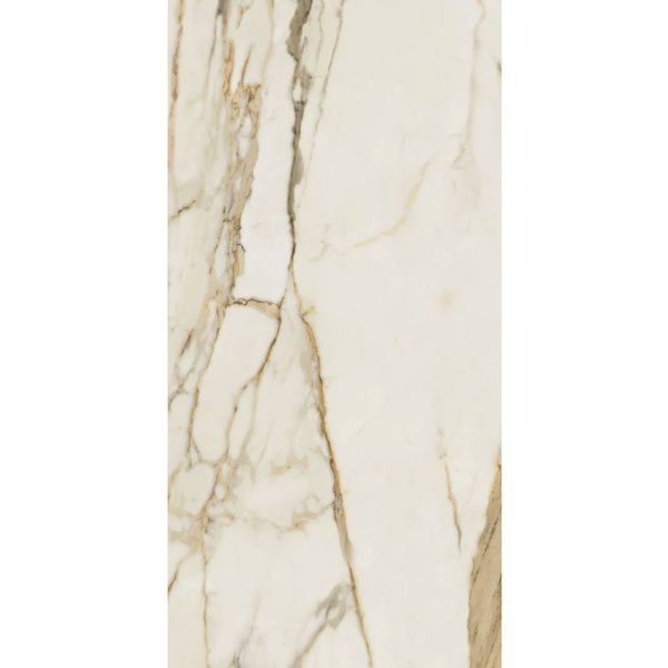 PARADYZ WARM WIND GOLD GRES SZKL. REKT. MAT 59,8X119,8 206448 фото