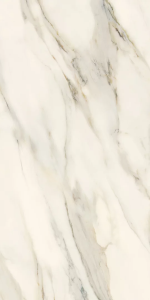 Плитка Paradyz Horizon Gold Gres Szkl. Rekt. Mat 59,8X119,8 208742 фото