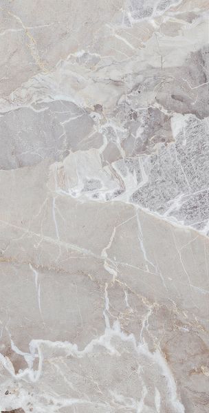 Плитка Teo Ceramics Allore Group Ultima Silver F P 600x1200x8 R Sumat 1 210242 фото