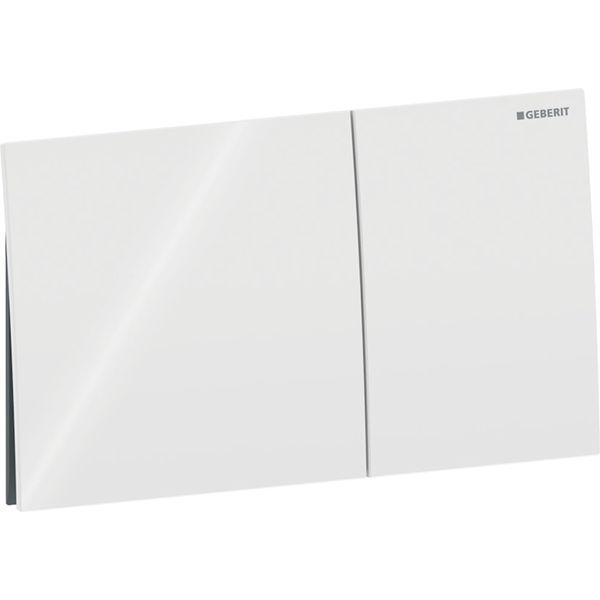Смывная клавиша Geberit 115.622.SI.1 Sigma70 для двойного смыва, Square белый 209367 фото