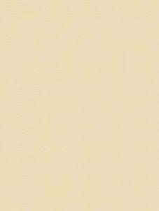 ПЛИТКА RAKO CONCEPT BEIGE 250X330X7 WAAKB108 155187 фото