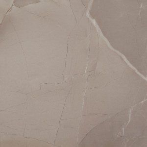 AZTECA PASSION LUX TAUPE 60Х60 193765 фото
