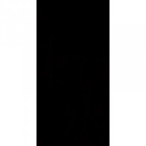 PARADYZ SYNERGY NERO SCIANA 30X60 195331 фото