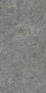 Плитка Paradyz Misty Rock Graphite Gres Szkl. Rekt. Mat. 59,8X119,8 208750 фото