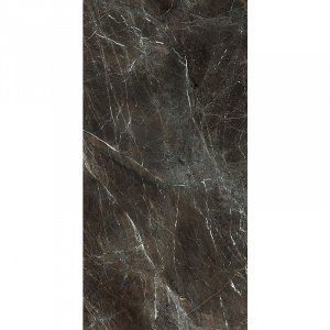 PARADYZ TOSI BROWN GRES REKT. MAT. 59,8X119,8 195344 фото
