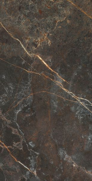 Плитка Teo Ceramics Allore Group Imperial Black F PC 600x1200x8 R Sugar 1 210172 фото