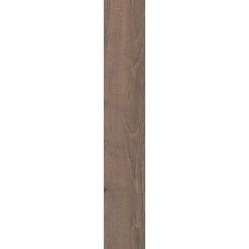 PARADYZ WILDLAND DARK GRES SZKL. REKT. 14,8X89,8 198812 фото