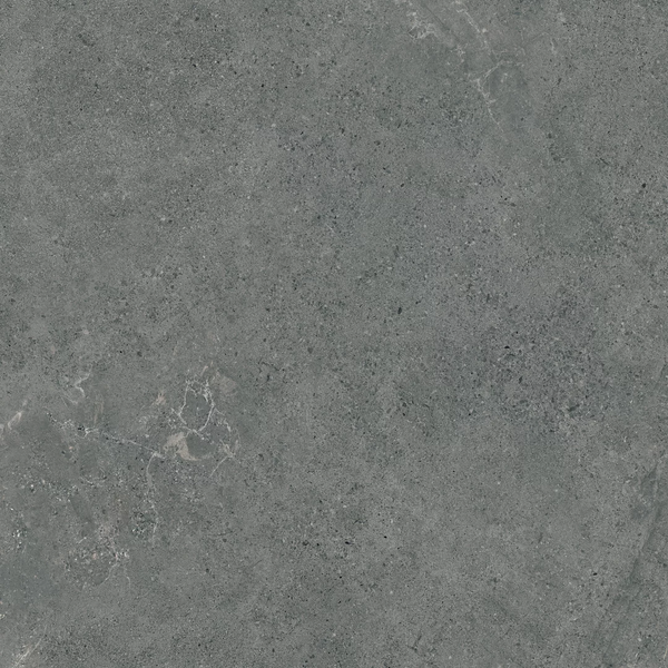 Плитка Paradyz Authority Graphite Gres Szkl. Rekt. Mat 119,8X119,8 208708 фото