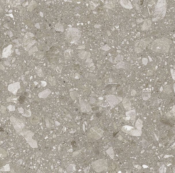 Плитка Teo Ceramics Allore Group Terra Greige F P 600x600x8 R Mat 1 210226 фото