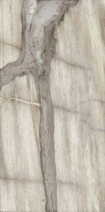 ПЛИТКА EMILCERAMICA PETRIFIED TREE GREY PANTHER CORE 948D8R 45Х90 134866 фото