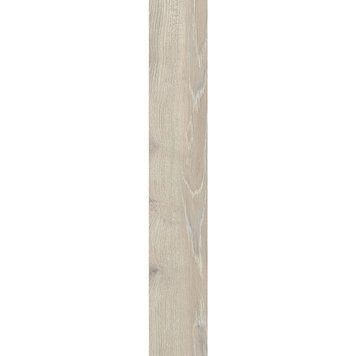 PARADYZ WILDLAND LIGHT GRES SZKL. REKT. 14,8X89,8 198814 фото