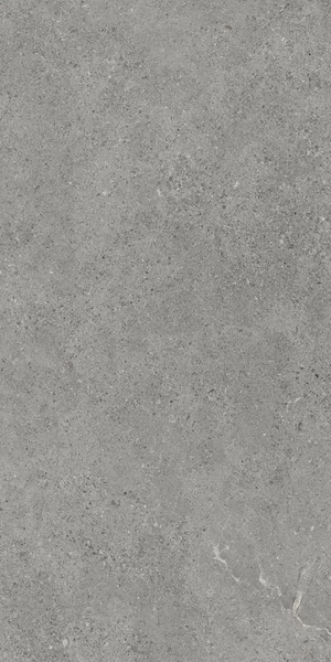 Плитка Paradyz Authority Grey Gres Szkl. Rekt. Mat 59,8X119,8 208712 фото