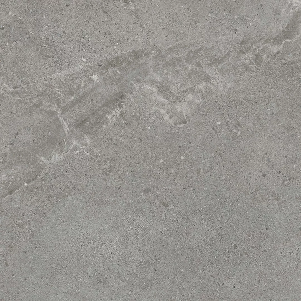 Плитка Paradyz Authority Grey Gres Szkl. Rekt. Mat 59,8X59,8 208713 фото