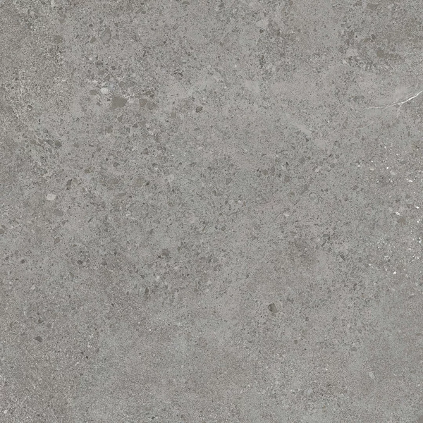 Плитка Paradyz Authority Grey Gres Szkl. Rekt. Mat 59,8X59,8 208713 фото