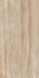 Плитка Teo Ceramics Allore Group Travertine Gold F P 600x1200x8 R Mat 1 210234 фото 3