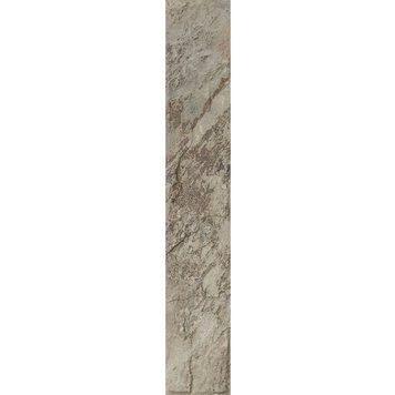 PARADYZ ARDIS LIGHT ELEWACJA STRUKTURA MAT 40,0X6,6 205593 фото