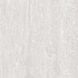 Плитка Teo Ceramics Allore Group Treviso Silver F P 600x600x8 R Mat 1 210235 фото 1