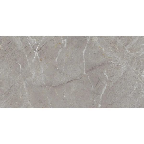 Плитка Teo Ceramics Allore Group Arber Grey F P 600x1200x8 R Mat 1 210136 фото
