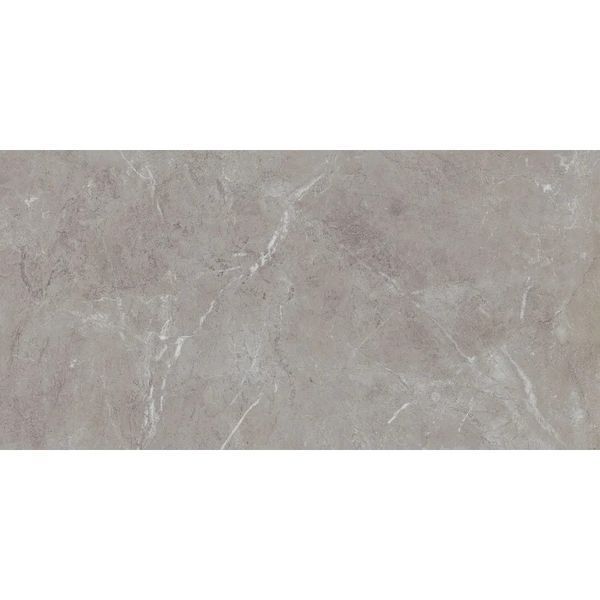 Плитка Teo Ceramics Allore Group Arber Grey F P 600x1200x8 R Mat 1 210136 фото
