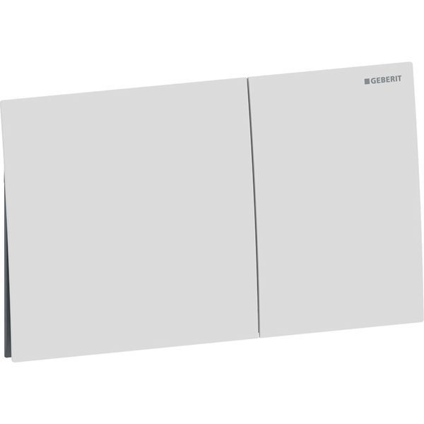 Смывная клавиша Geberit 115.622.JT.1 Sigma70 для двойного смыва, Square белый Матовый 209363 фото