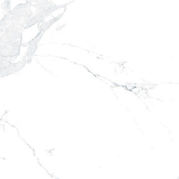 Teo Ceramics Allore Group Avenzo Silver F P 600X600X8 R Satin 1 207939 фото