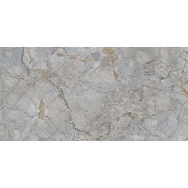 ITALICA AUGUSTO GRIS PL 60Х120 205947 фото