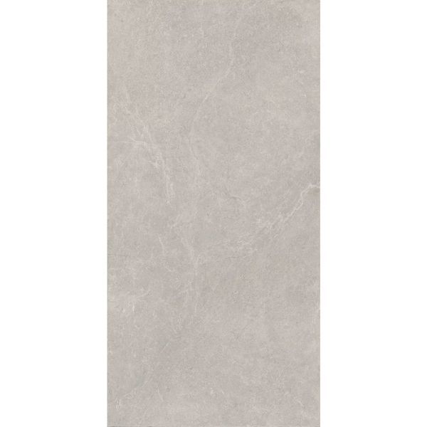 PARADYZ U118 LIGHT GREY GRES SZKL. REKT. MAT. 59,8X119,8 206488 фото