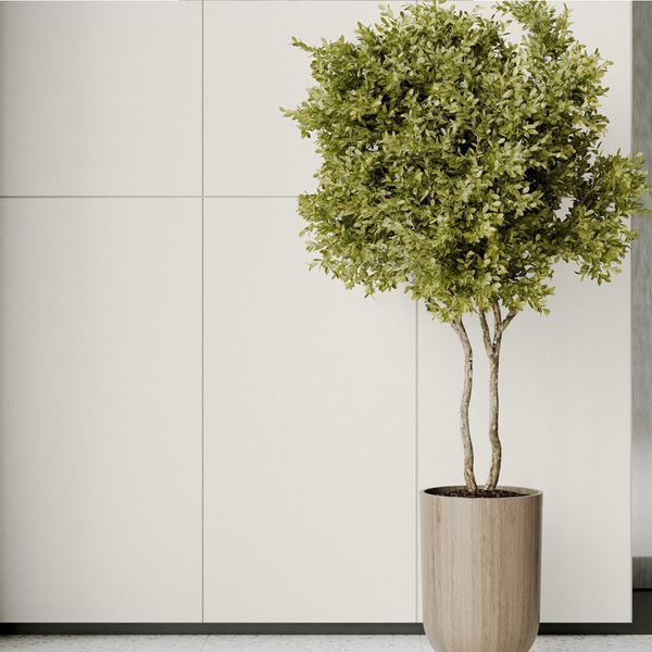 Плитка Cerrad Gres Monolight Exterior White Rect 597X597 209746 фото