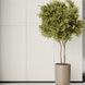 Плитка Cerrad Gres Monolight Exterior White Rect 597X597 209746 фото 2