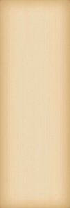 PERONDA DOTTY-O 250X750X8 159642 фото