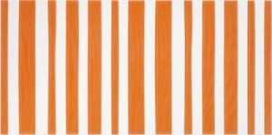 ДЕКОР (25Х50) AGATHA 2 LINEAS NARANJA 151984 фото